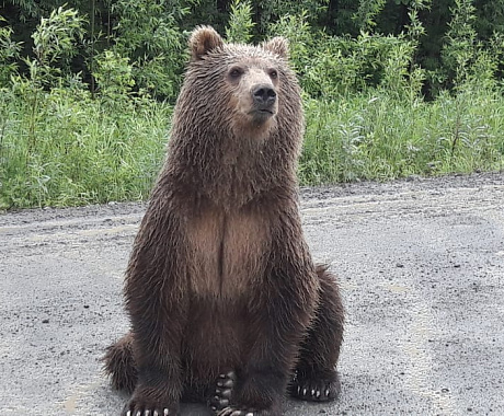 Осенний марафон на Камчатке
