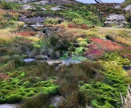 Осень на Камчатке