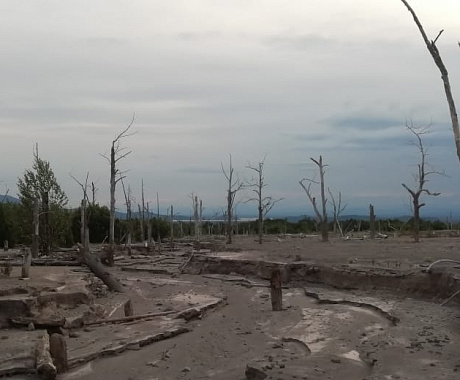 Тур в район  Толбачинского дола (5 дней 4 ночи)