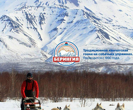 Катание на упряжках ездовых собак